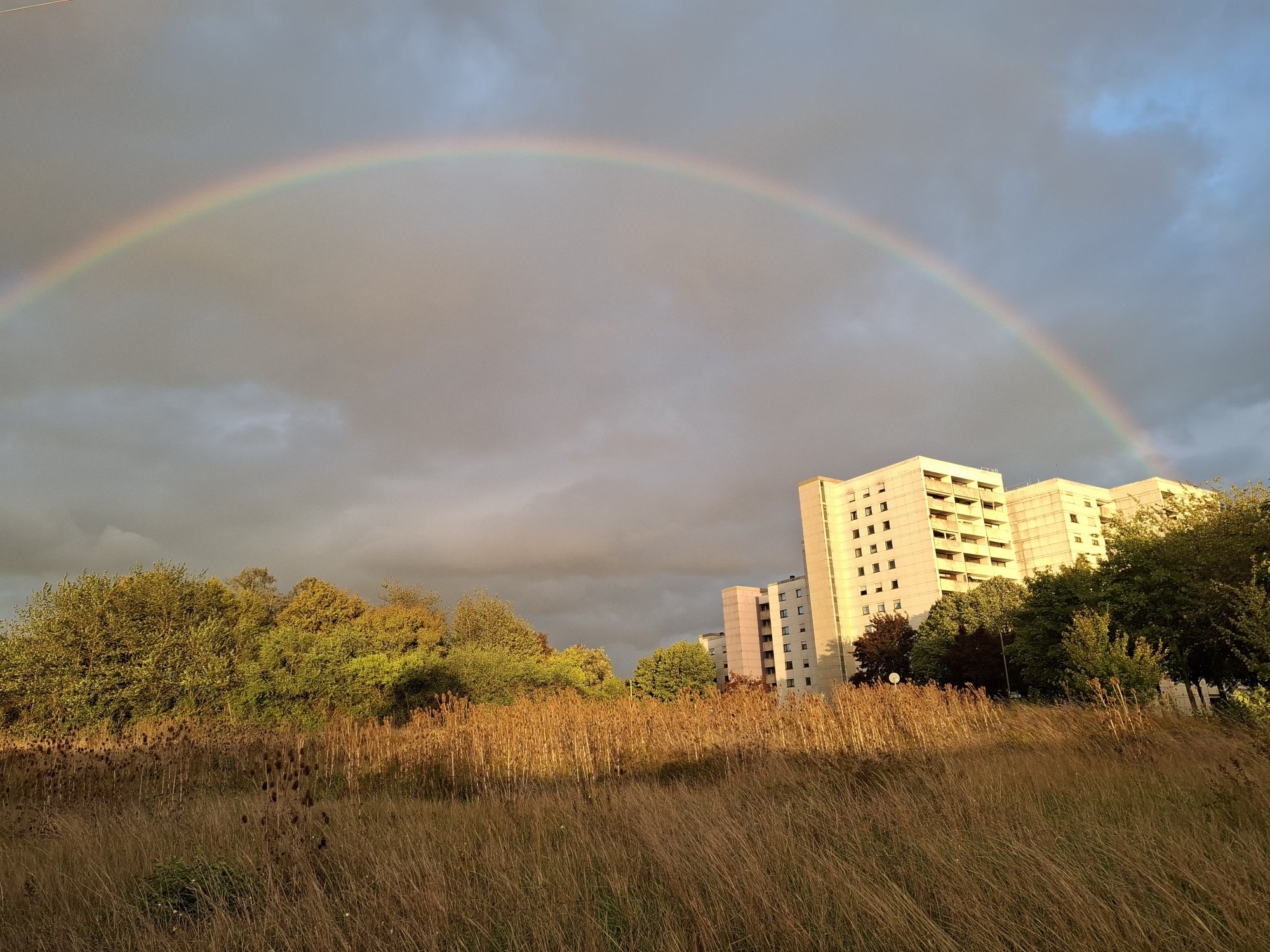 20250916_190754.jpg