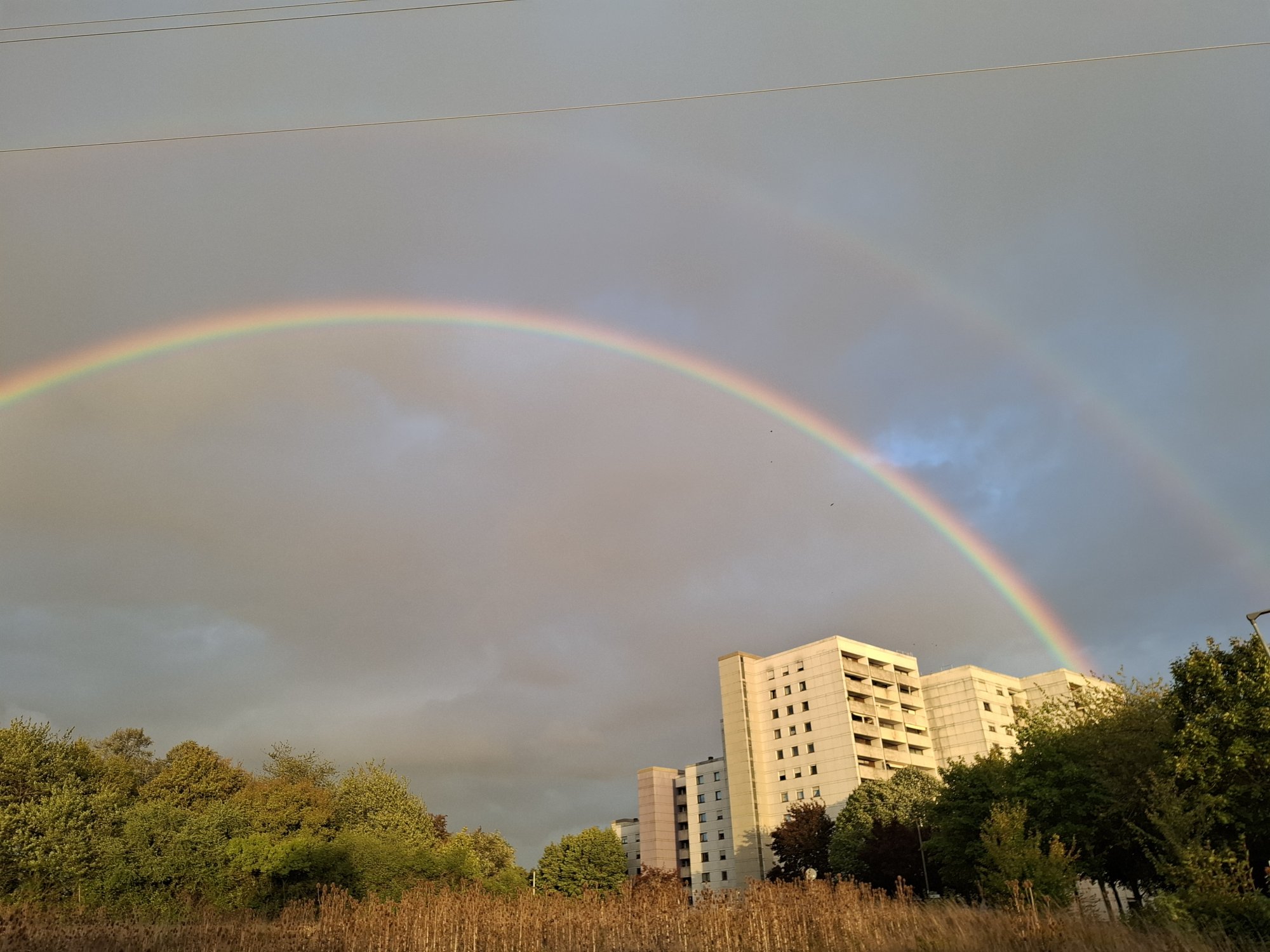 20250916_190855.jpg