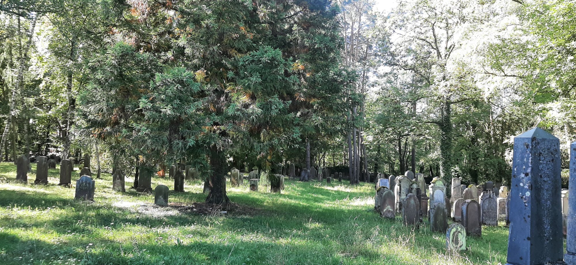 20250919_121638.jpg