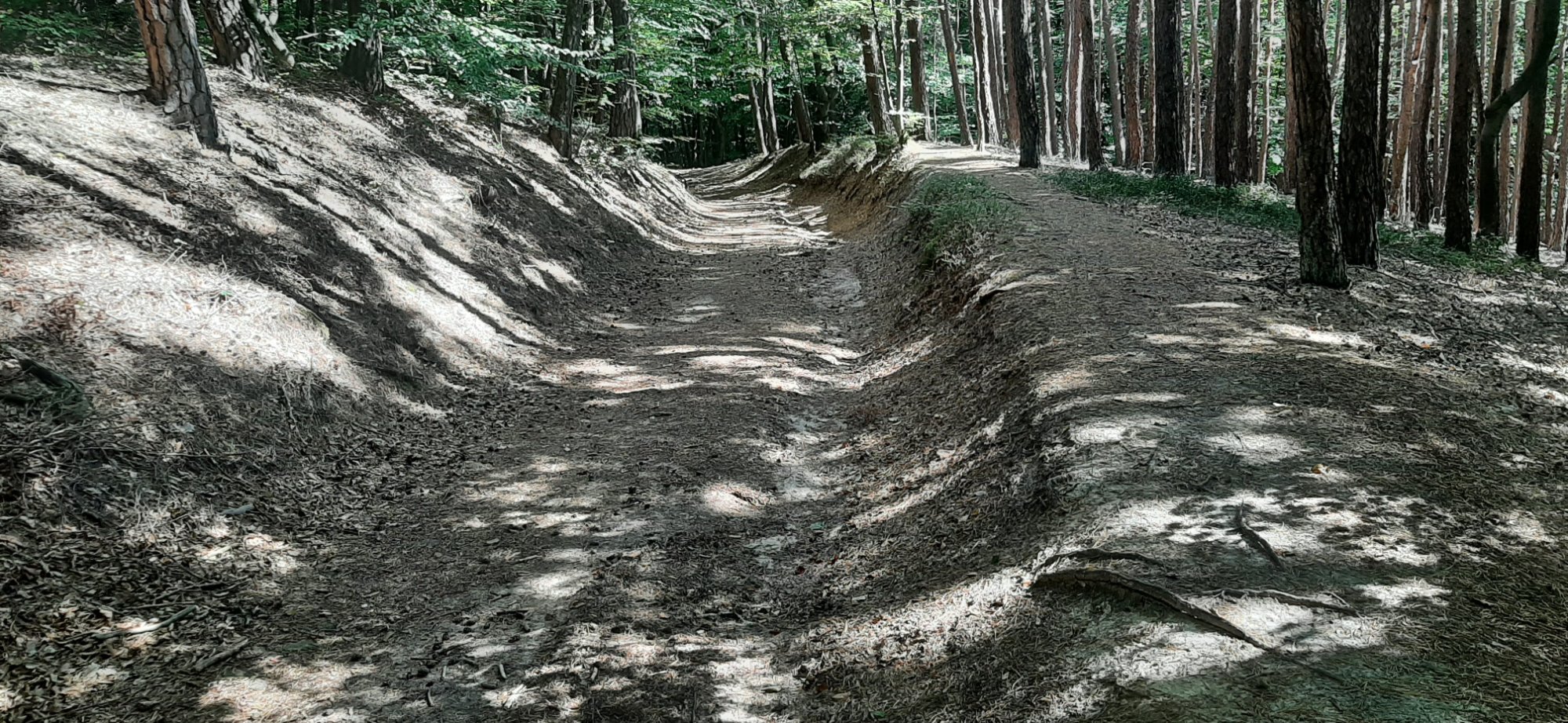 20250919_125324.jpg