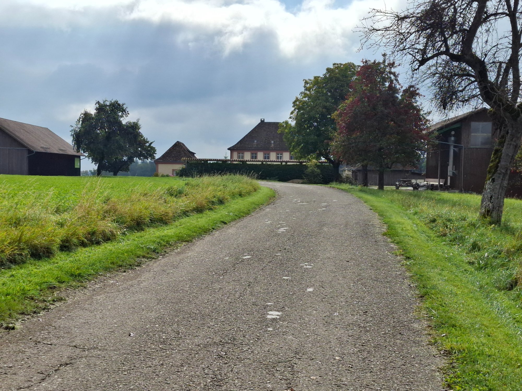 20250928_110646.jpg