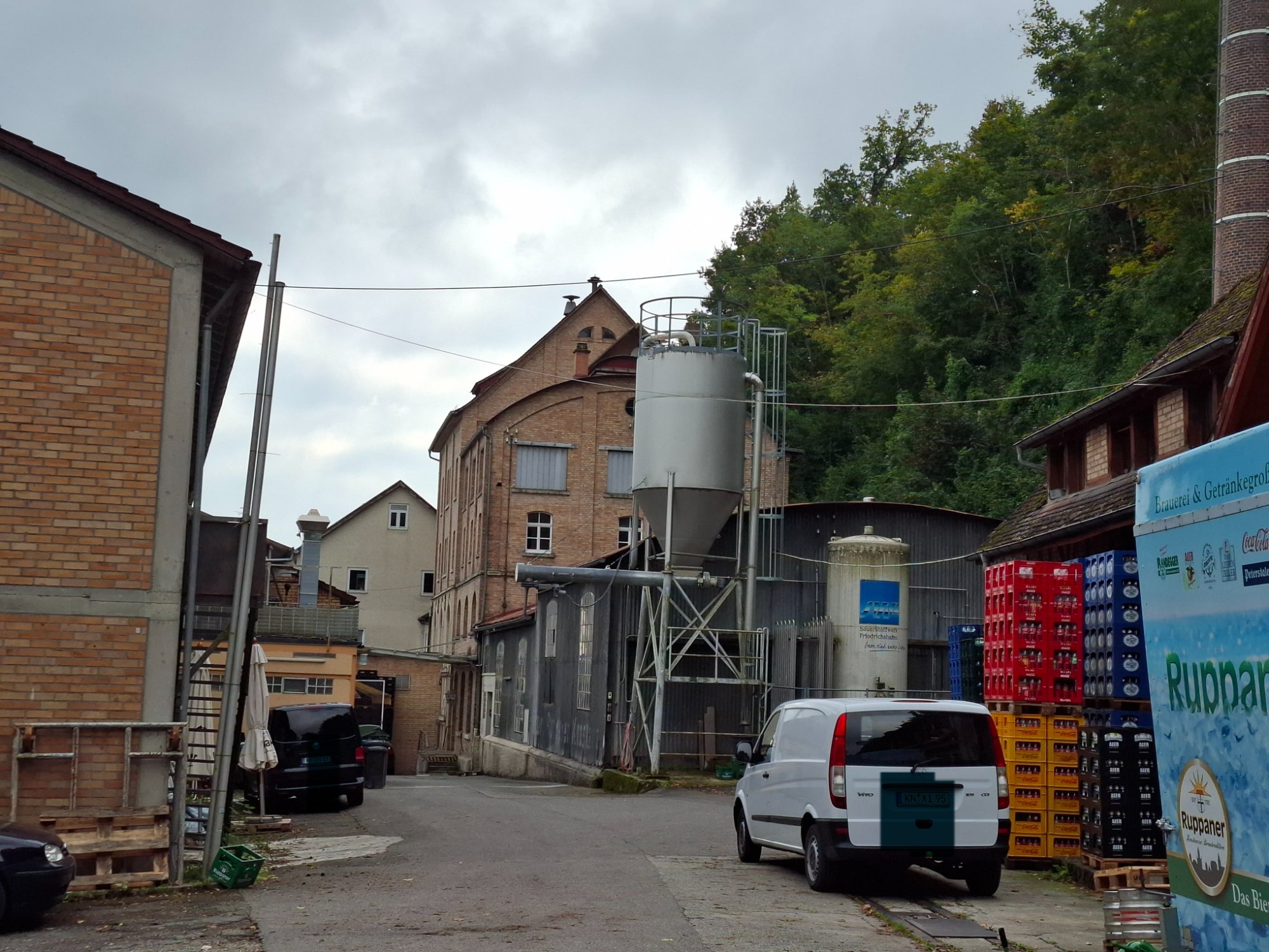20250928_114823.jpg