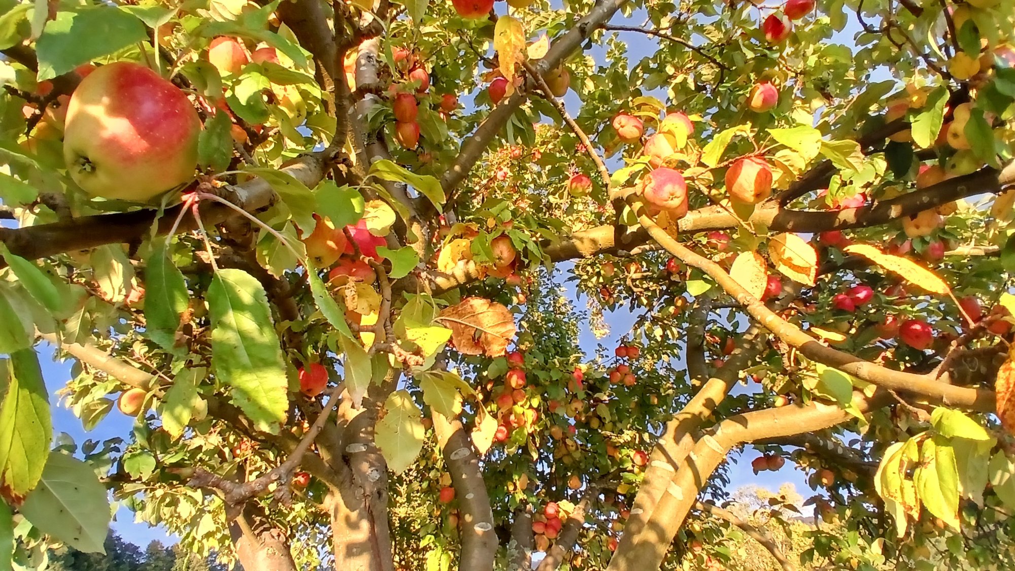 20250928_183226.jpg