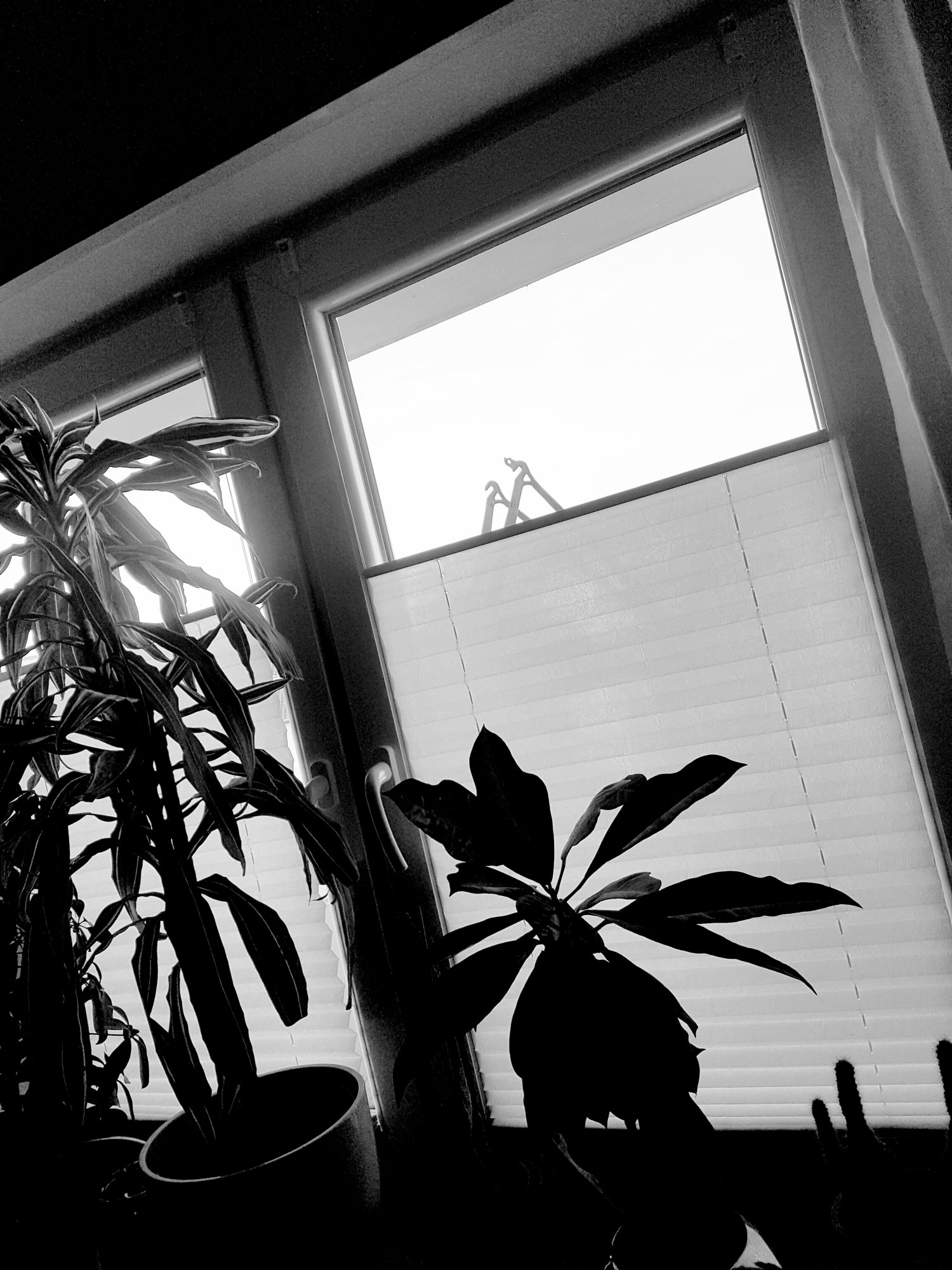 20251001_083324.jpg