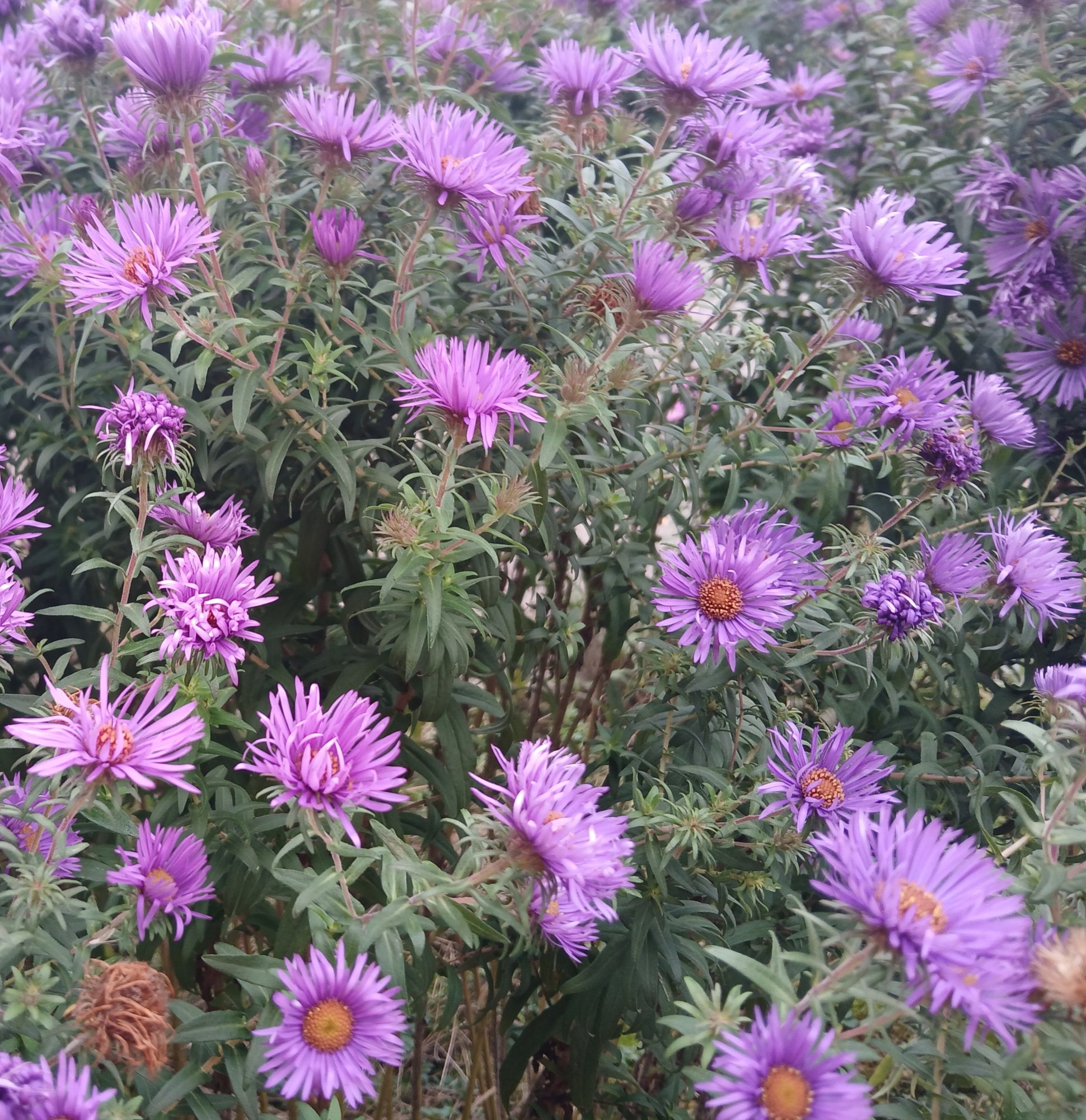 20251010_105150.jpg