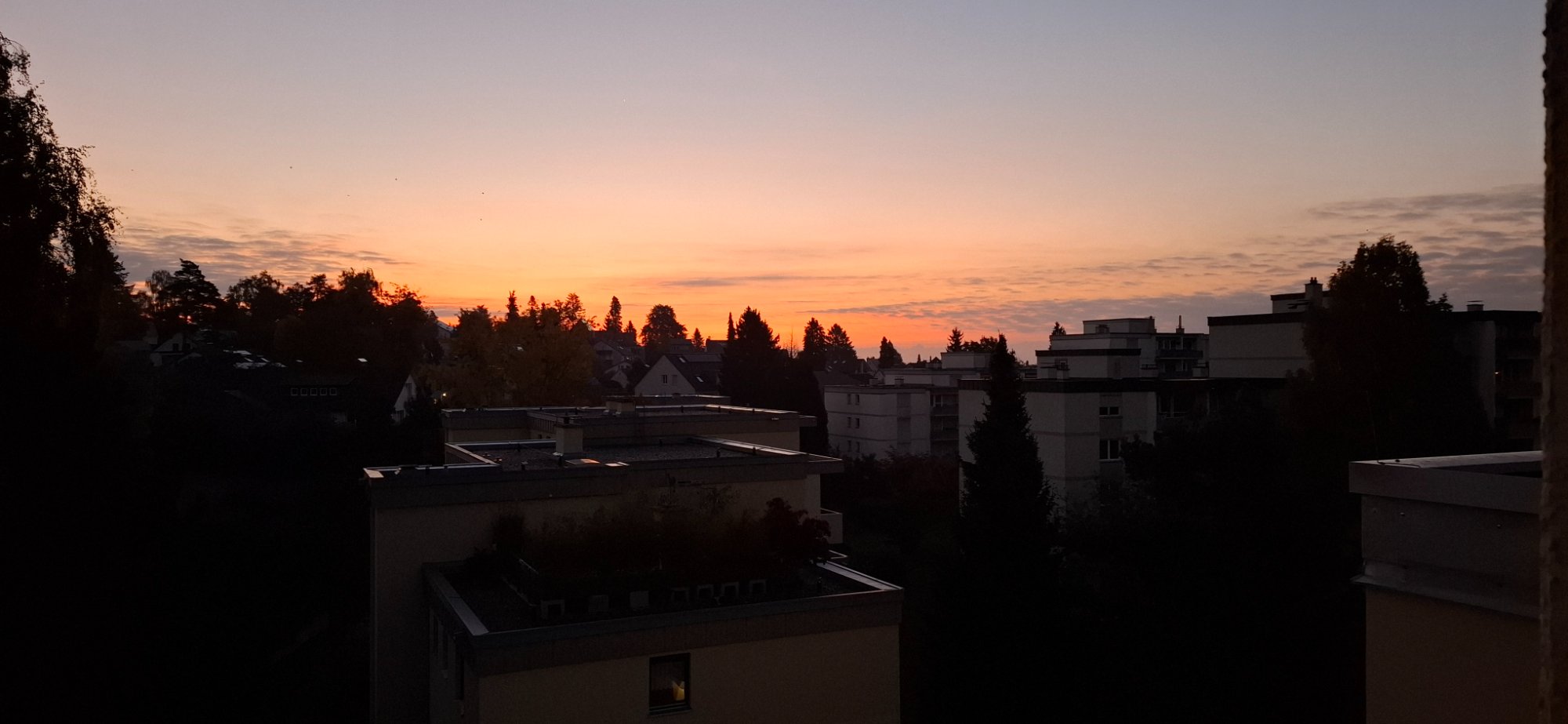 20251018_072254.jpg