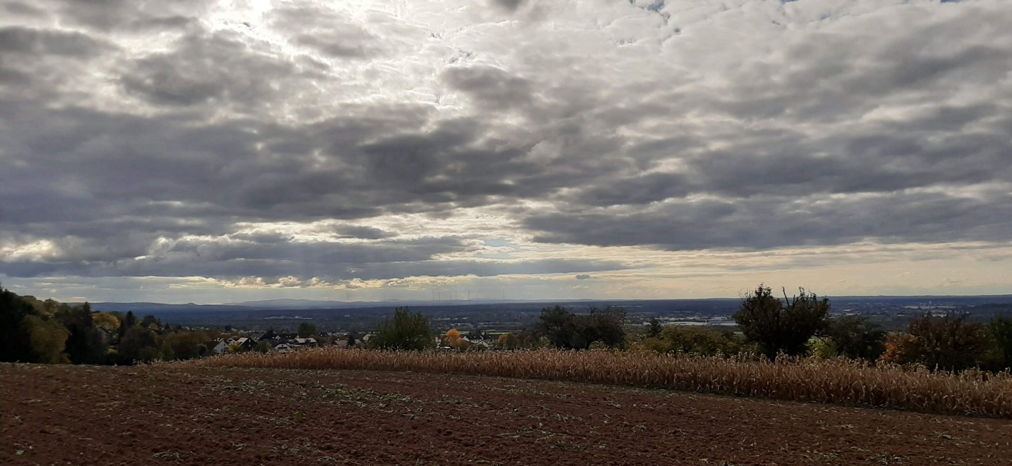 20251018_145147.jpg