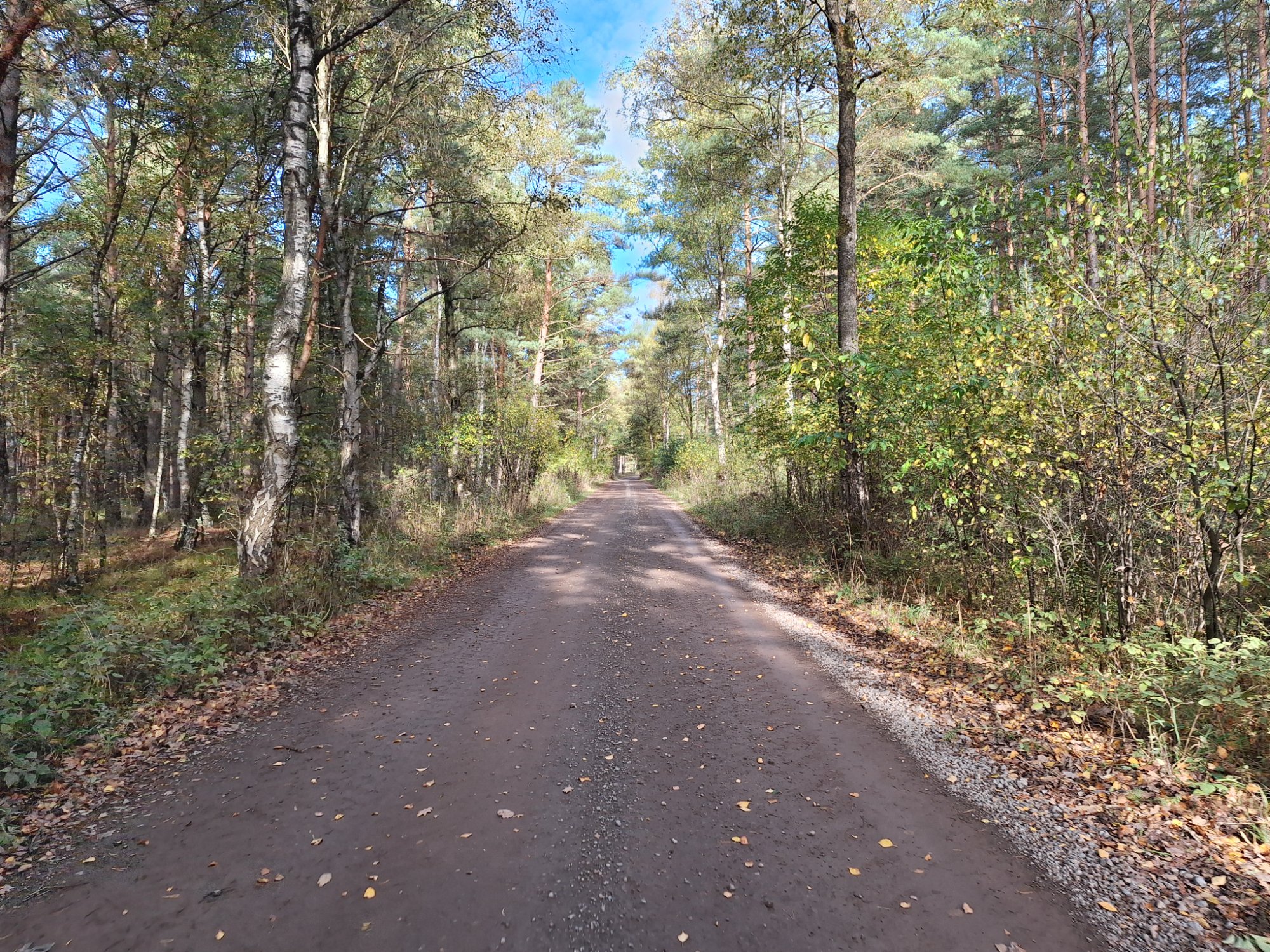 20251019_144454.jpg