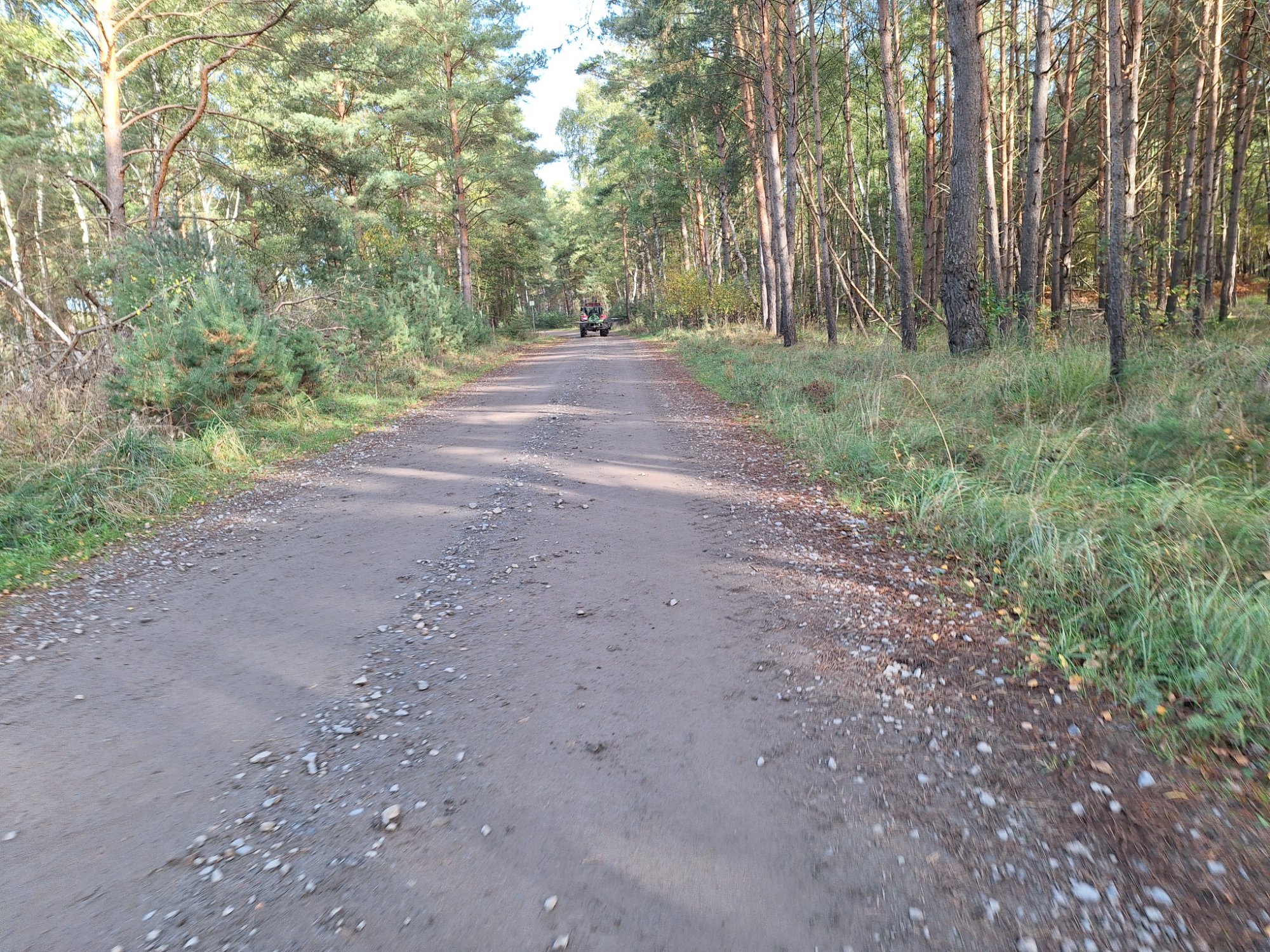 20251019_144914.jpg