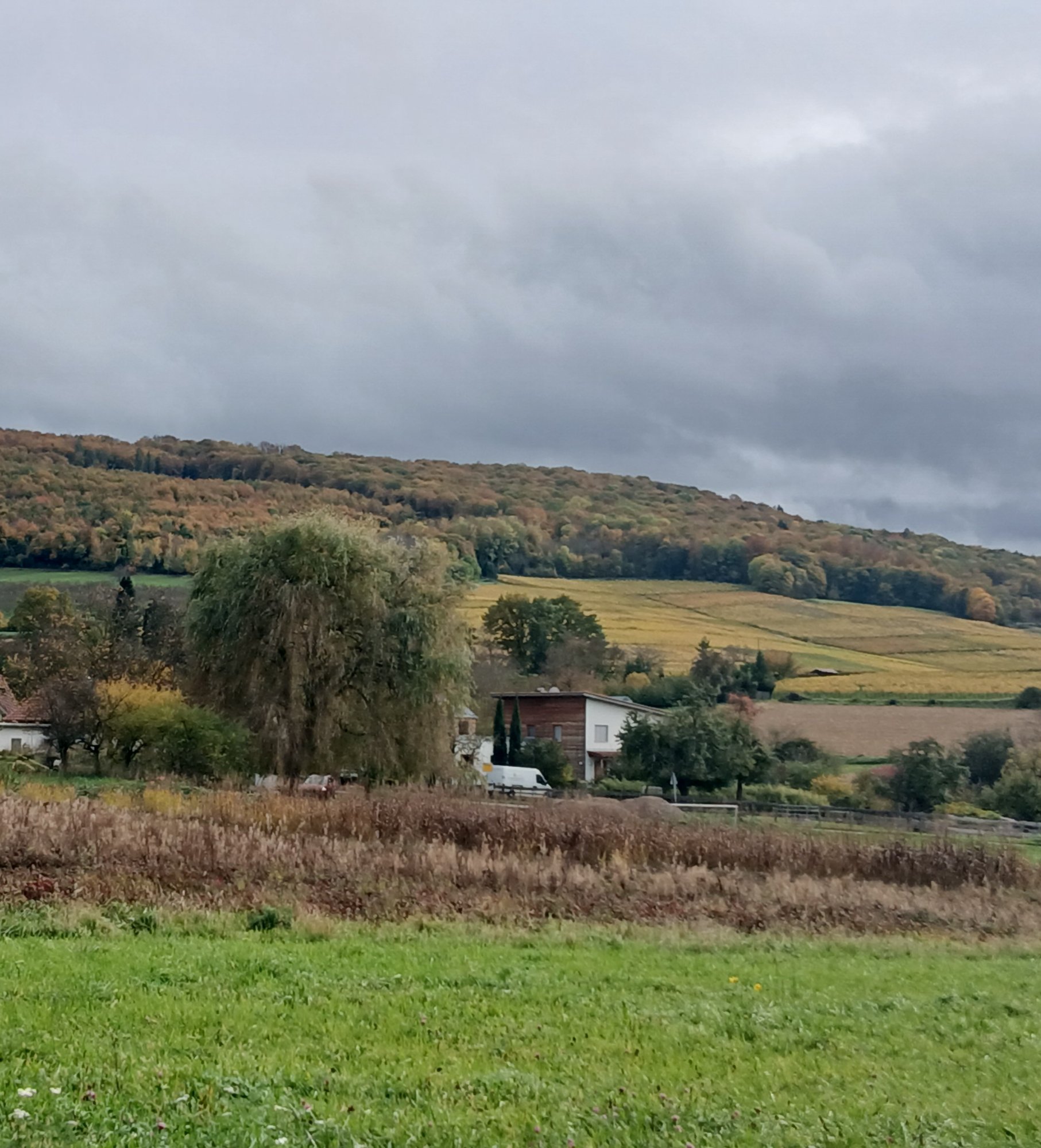 20251022_154750(1).jpg