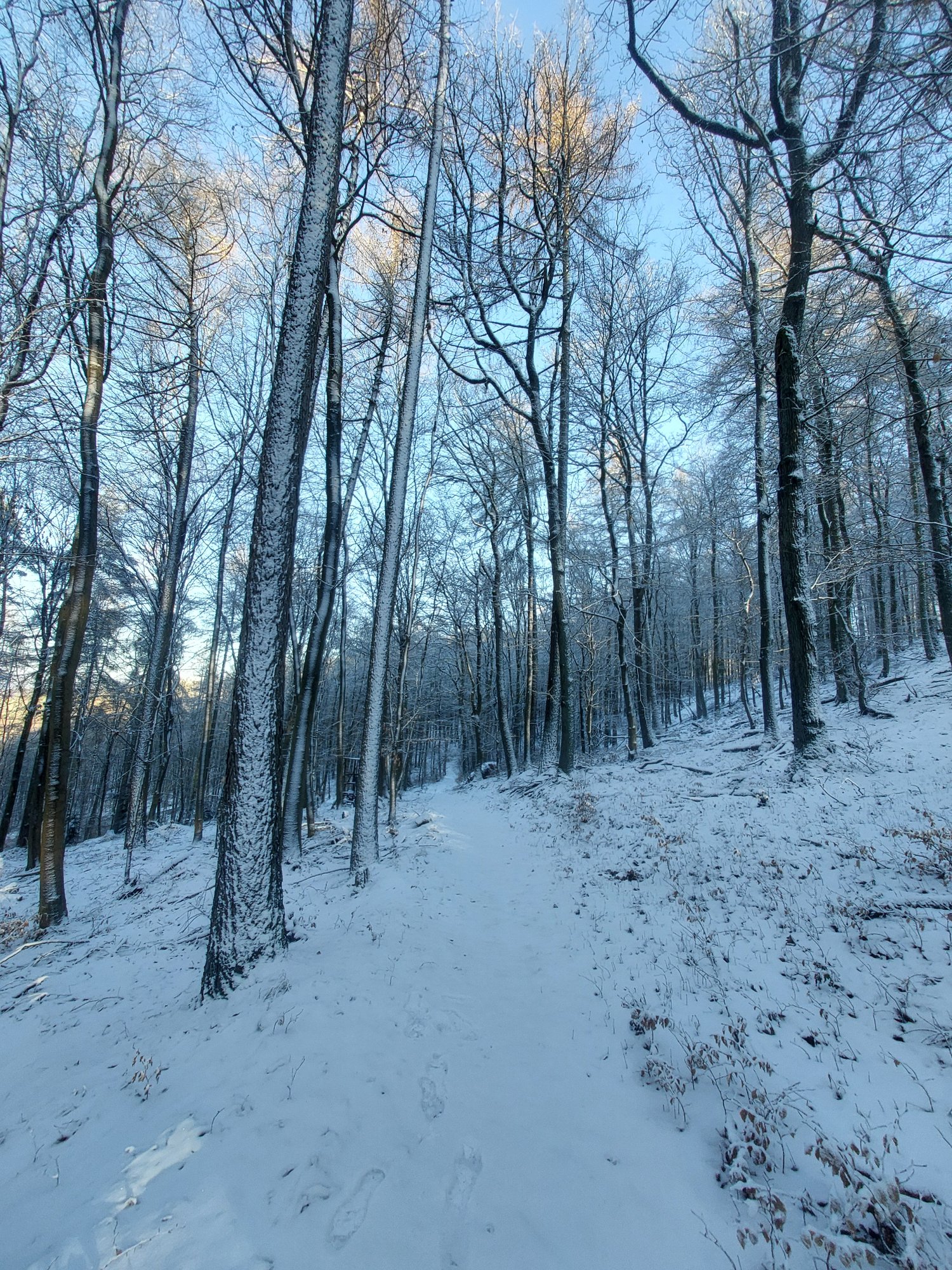20260111_143841.jpg