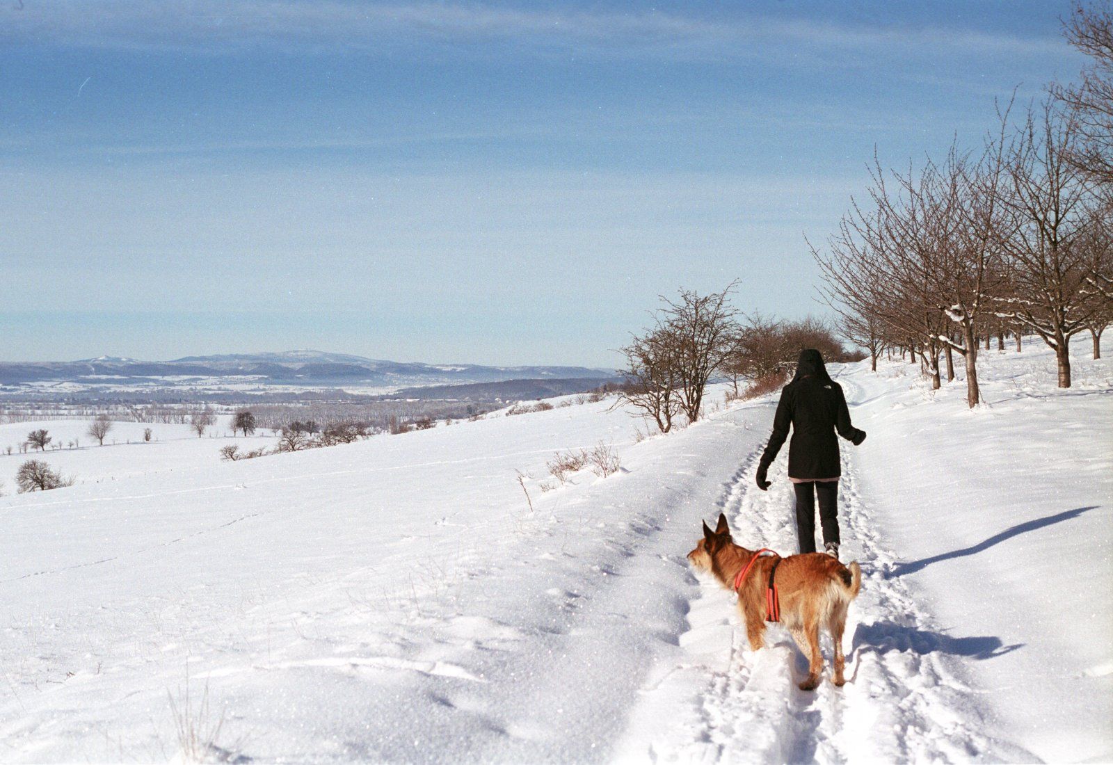 21.2.1 Schnee sewecken08.jpg