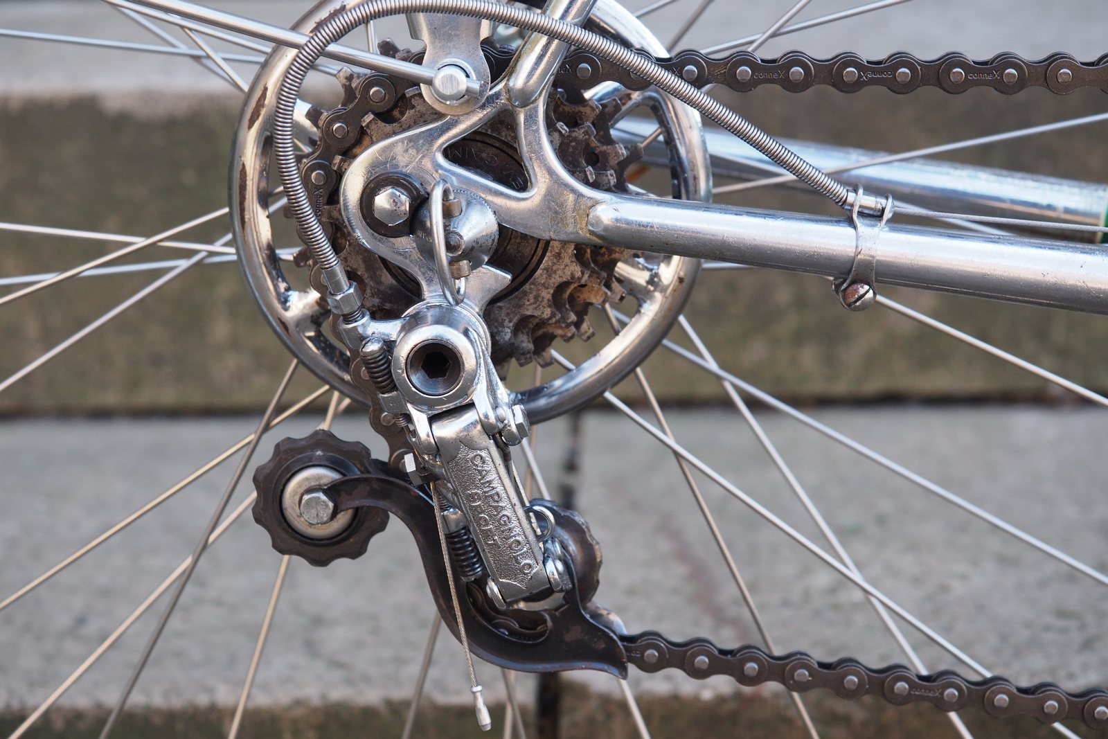 210307-Rabeneick Campagnolo-037.JPG