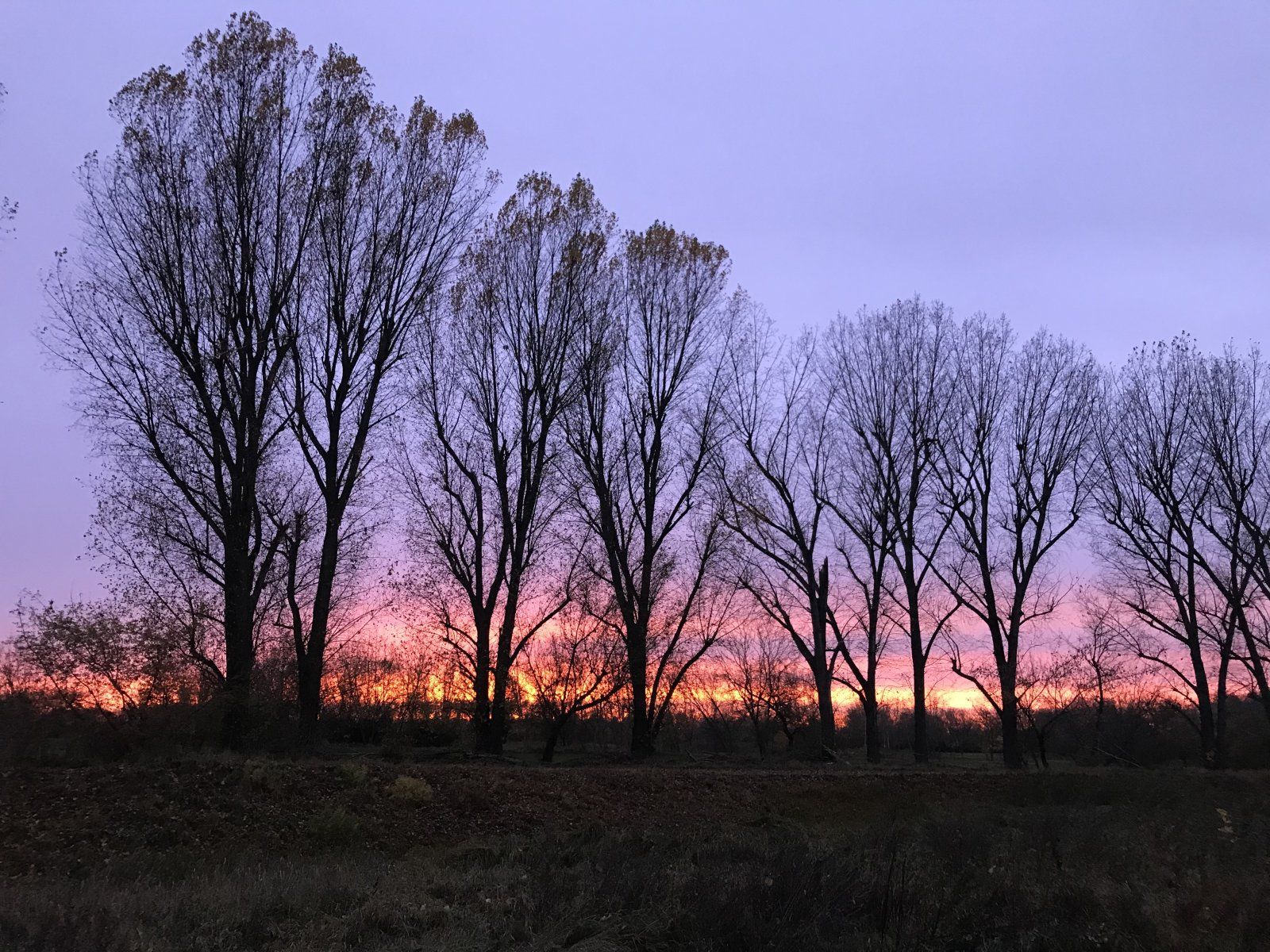 211101_1.jpg
