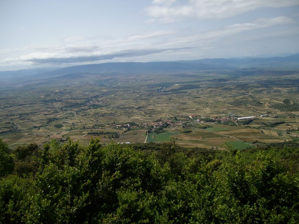 23.05.09 007.jpg