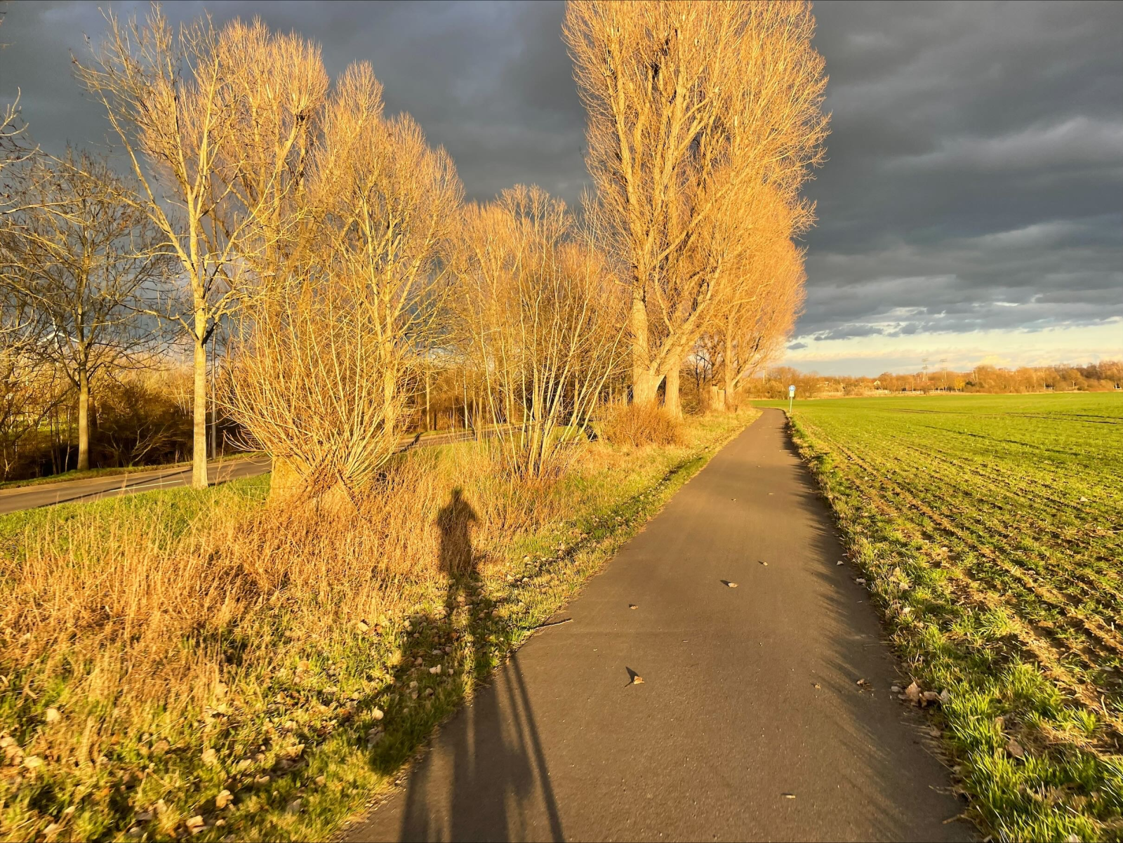 230323_1.png