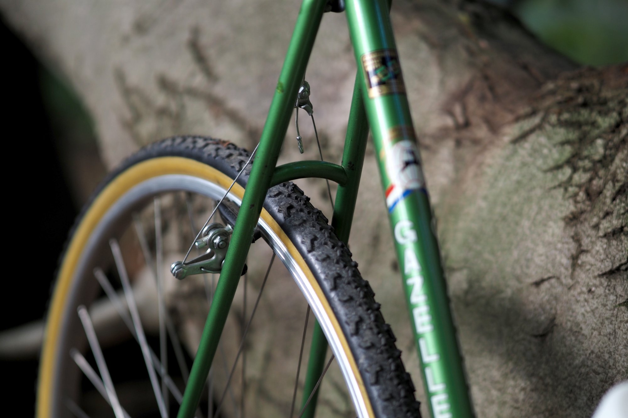 251010-Cross-Gazelle-12.JPG