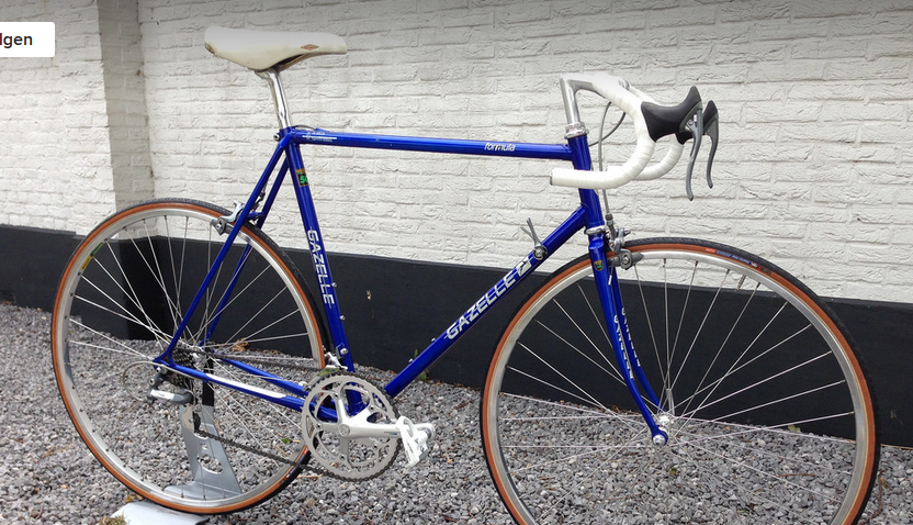 Gazelle Formula Randonneur - mein erstes Langstreckenrad | Rennrad-News.de