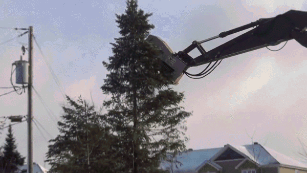 27.gif