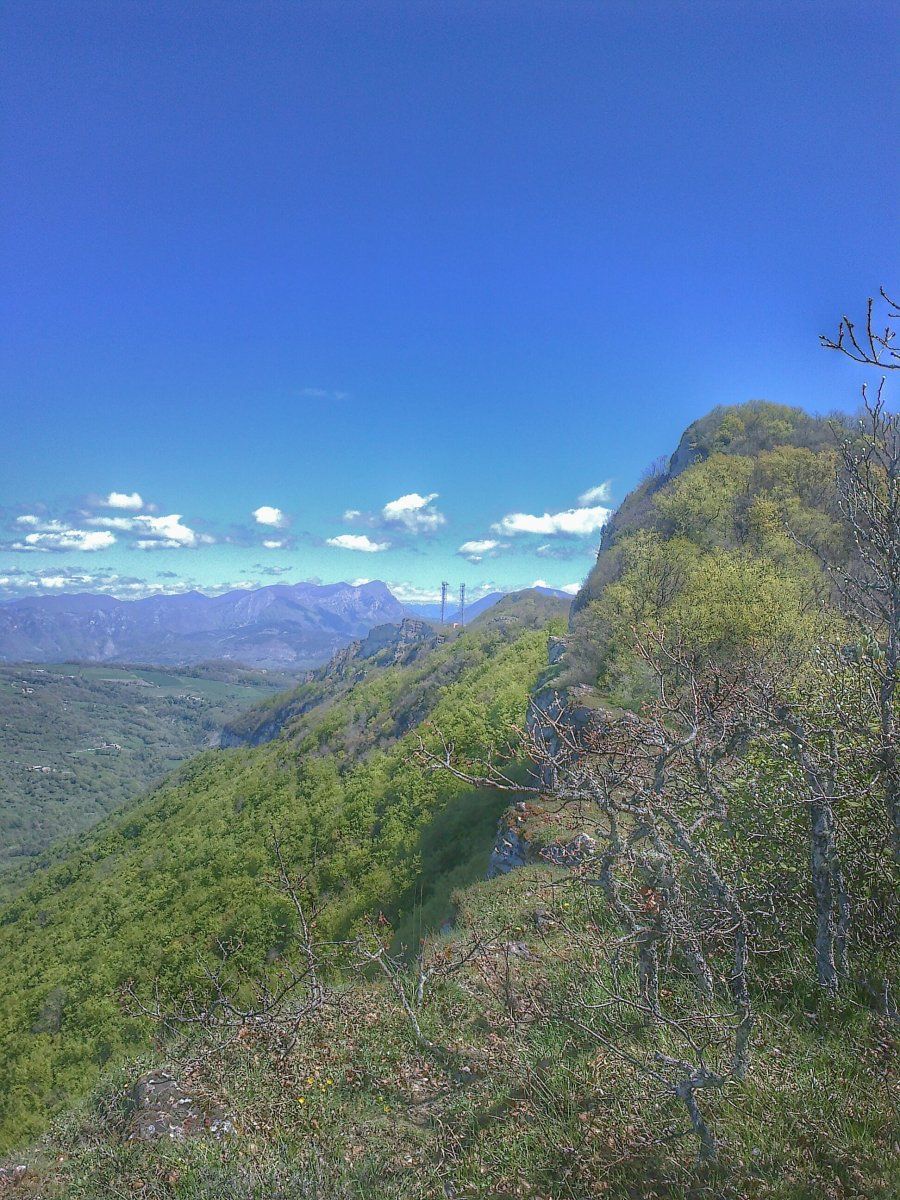 27042016679-01.jpeg
