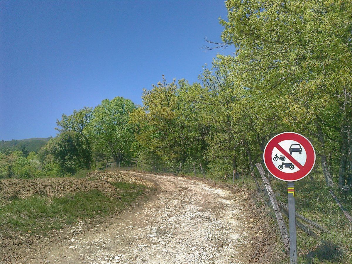 27042016682-01.jpeg