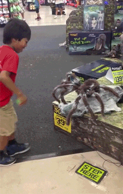 28.gif