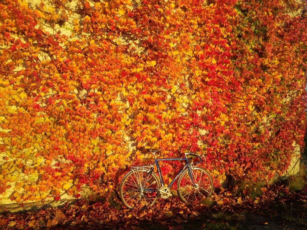 31.10.16-1.jpg