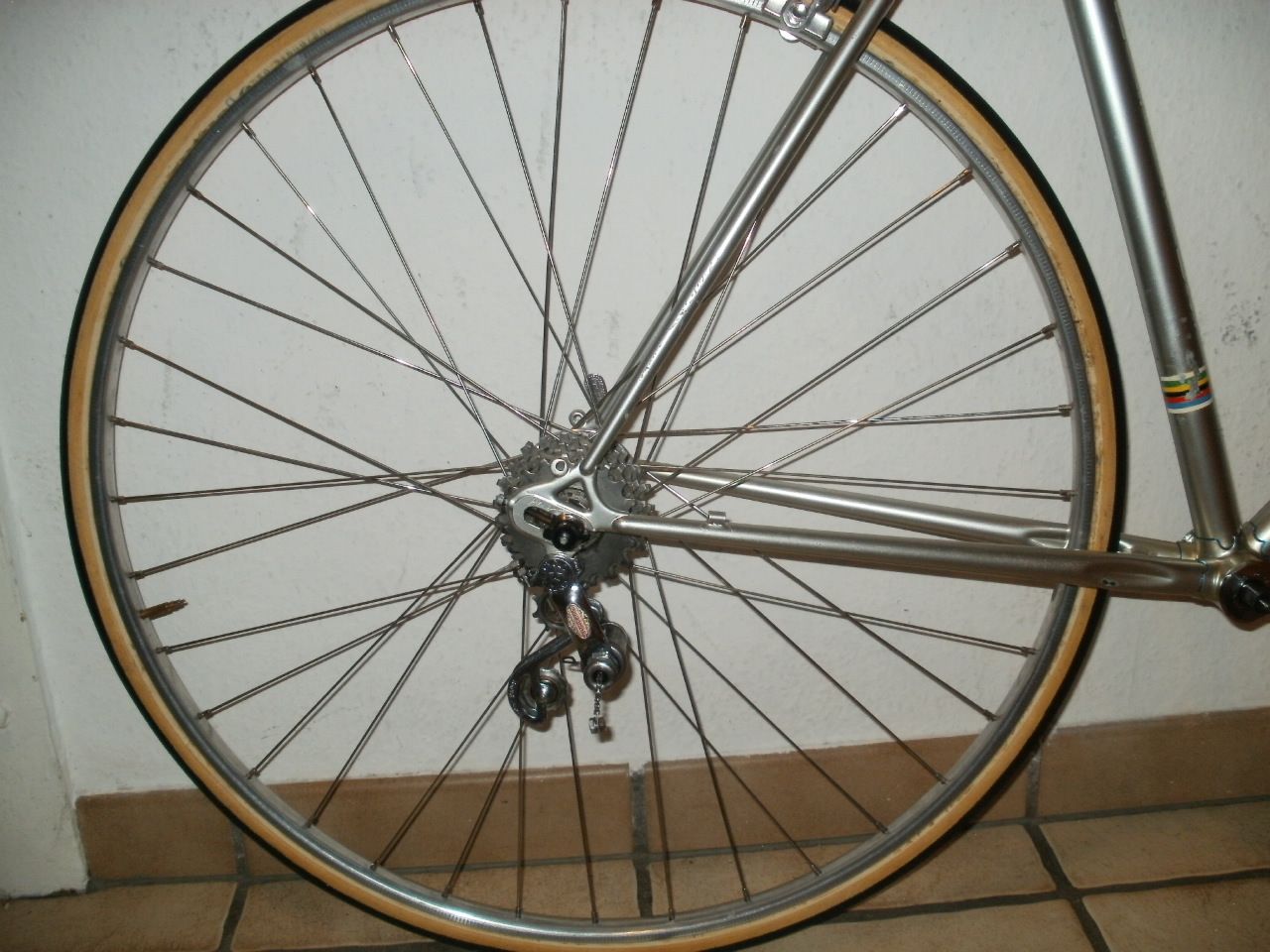310.JPG