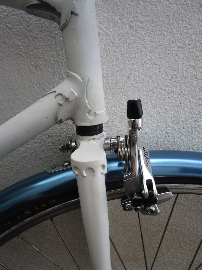 32934888944_b9d8d6ed61_b (1).jpg