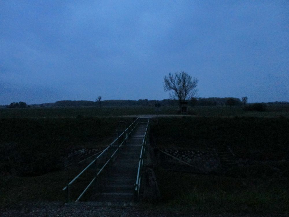 33.JPG