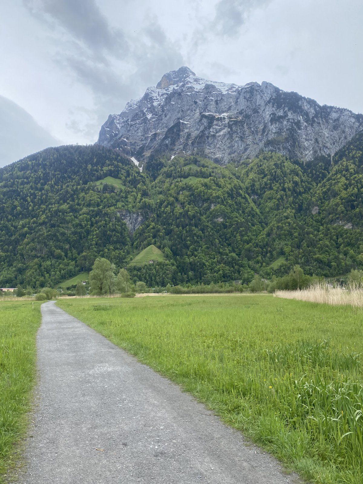 34ACD47D-3D2C-49A5-A769-E4F0846A0589.jpeg