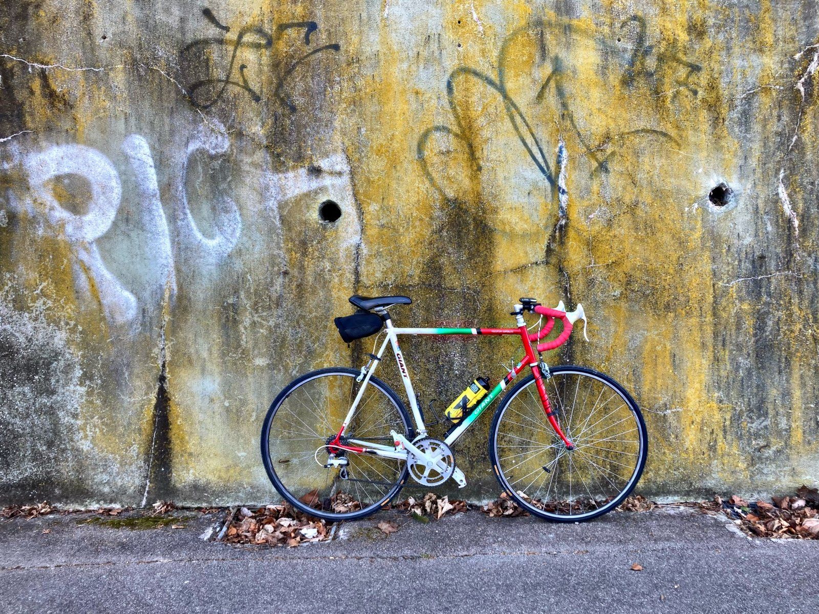 34FFD526-ABF2-4133-AF6C-8B0BA26C91F9.jpeg