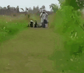 38.gif