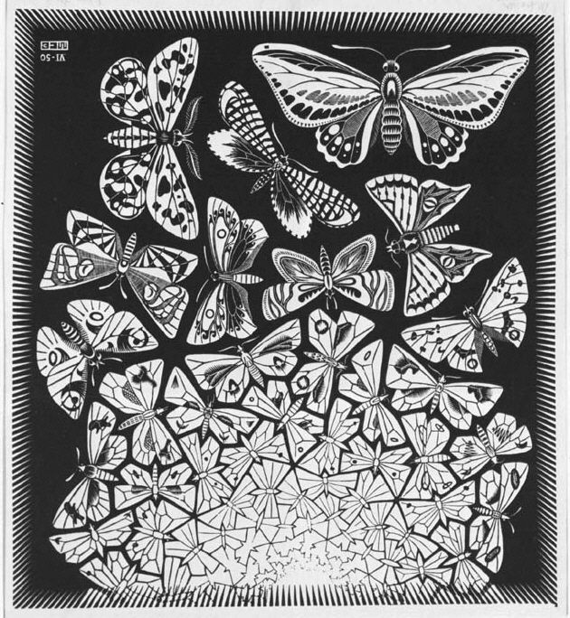 3_Escher_Schmetterlinge.jpg