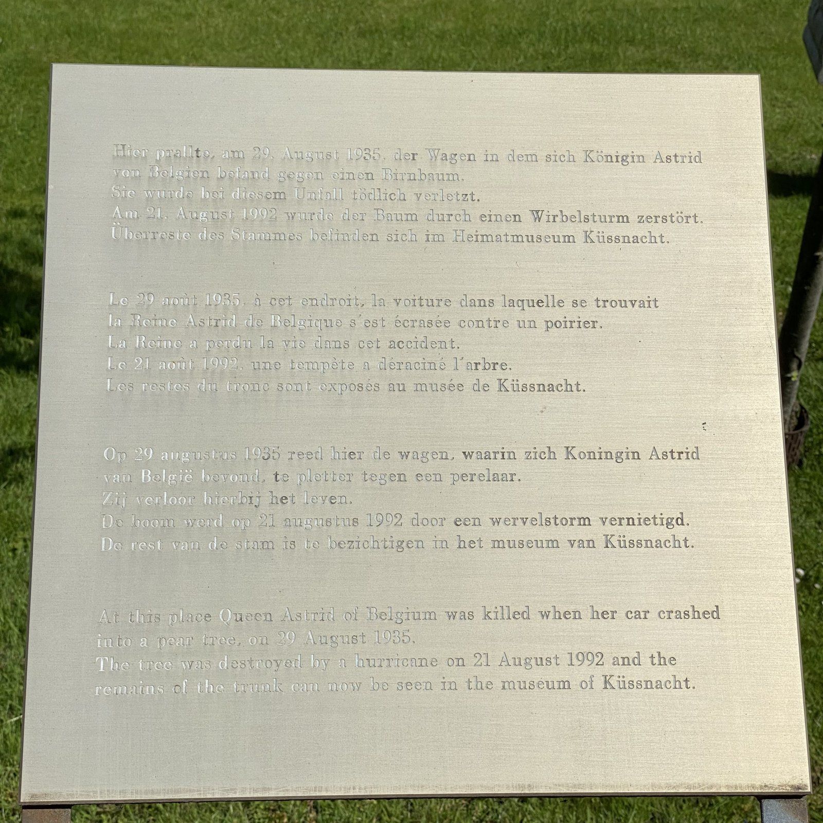 3A3A1592-39E5-4D72-BFEA-715F55F57B9B.jpeg