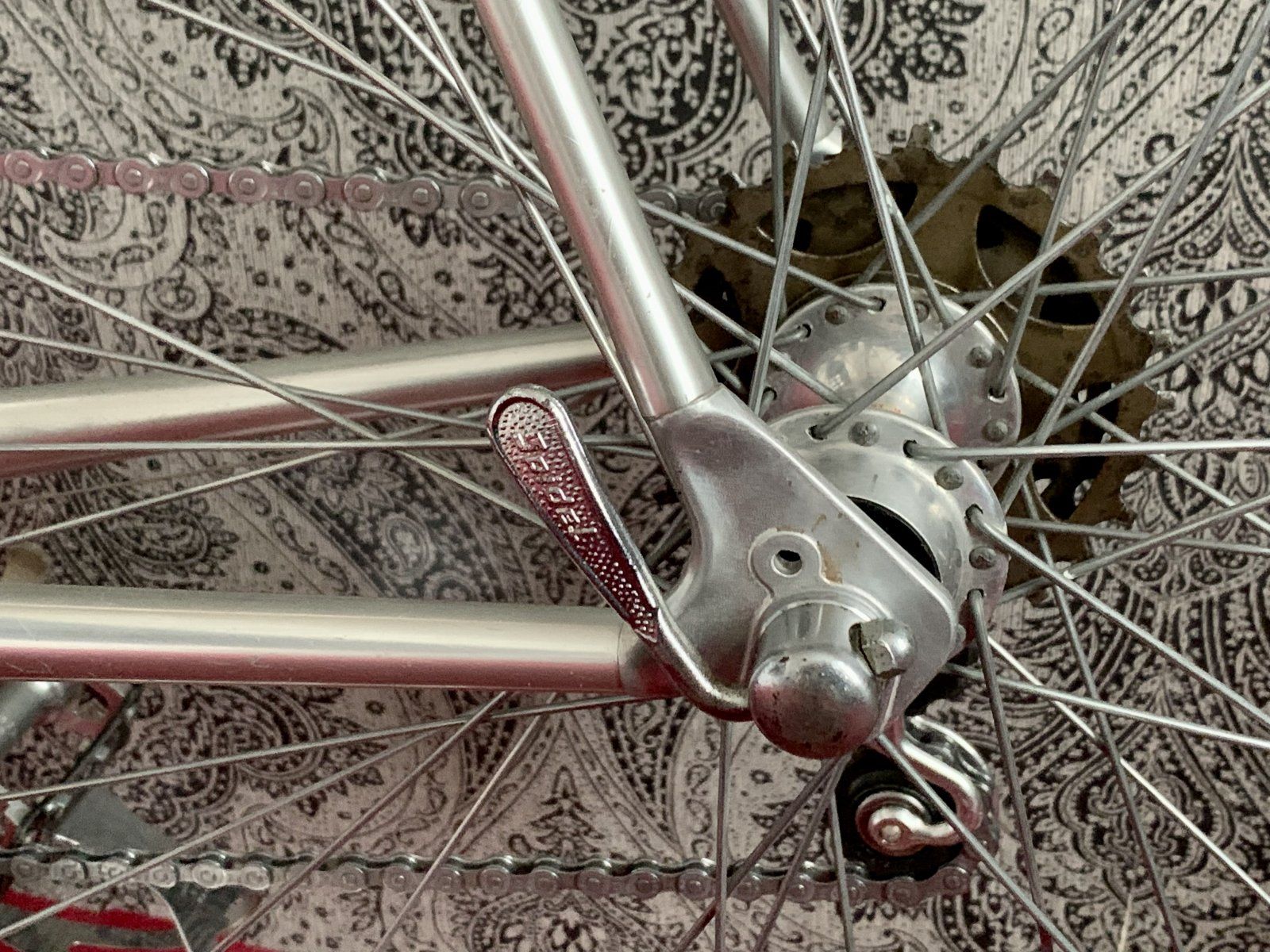 3B092530-A2C9-4C97-B49F-C8AC04BBA519.jpeg