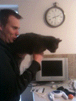 3c08e452944fbf69eb322aa8fae38ea26236cca4_m.gif