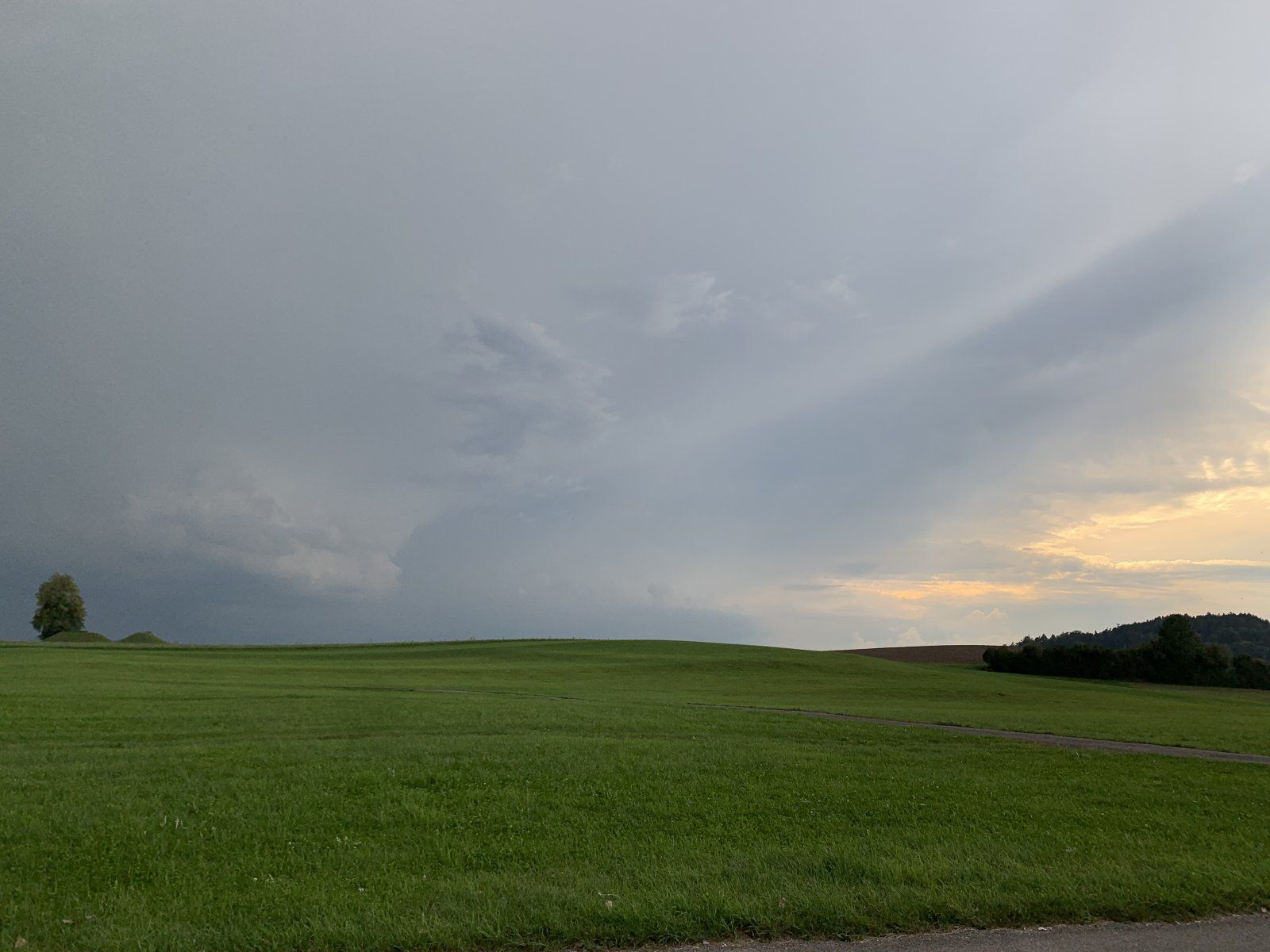 4118860F-5A2D-4C09-8A4D-6D5929F4ECE3.jpeg