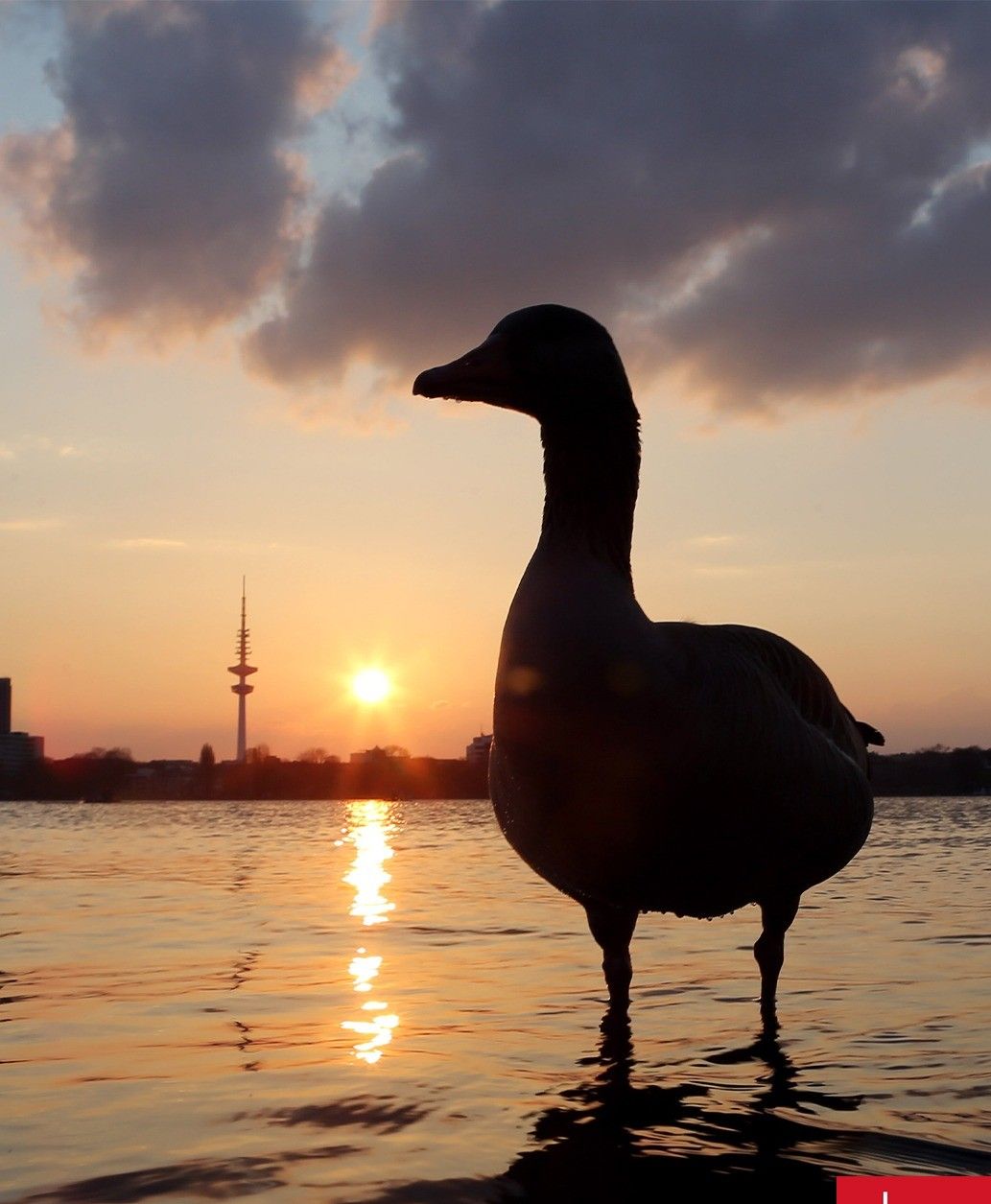 4294ae60-dd8b-4b7c-a85c-7906d237726e~2.jpeg