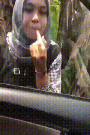 43.gif