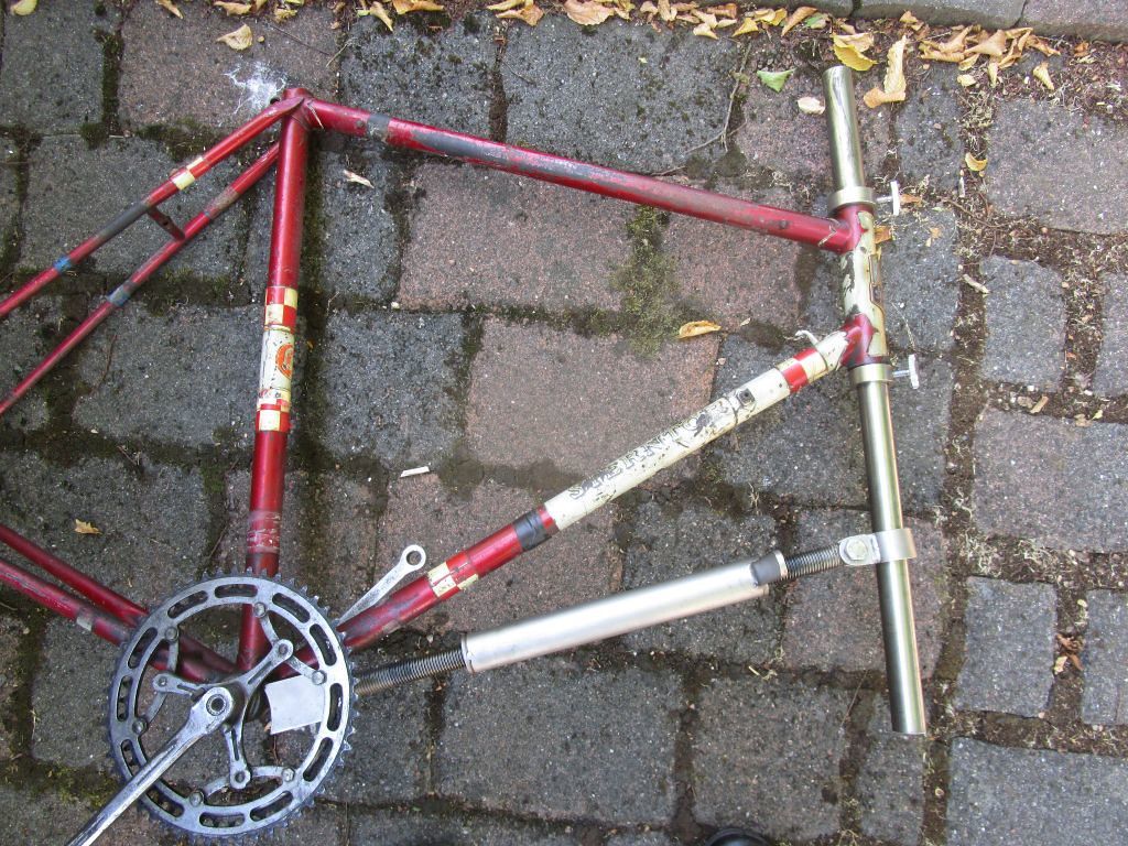 43128536794_e41b22508b_b (2).jpg