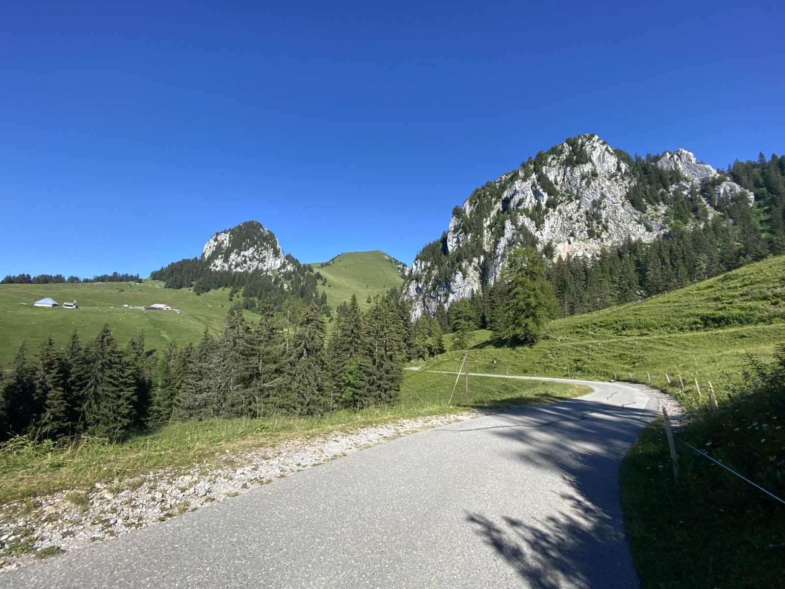 481C6389-045B-4D5A-B04C-2D044BD5AB86.jpeg