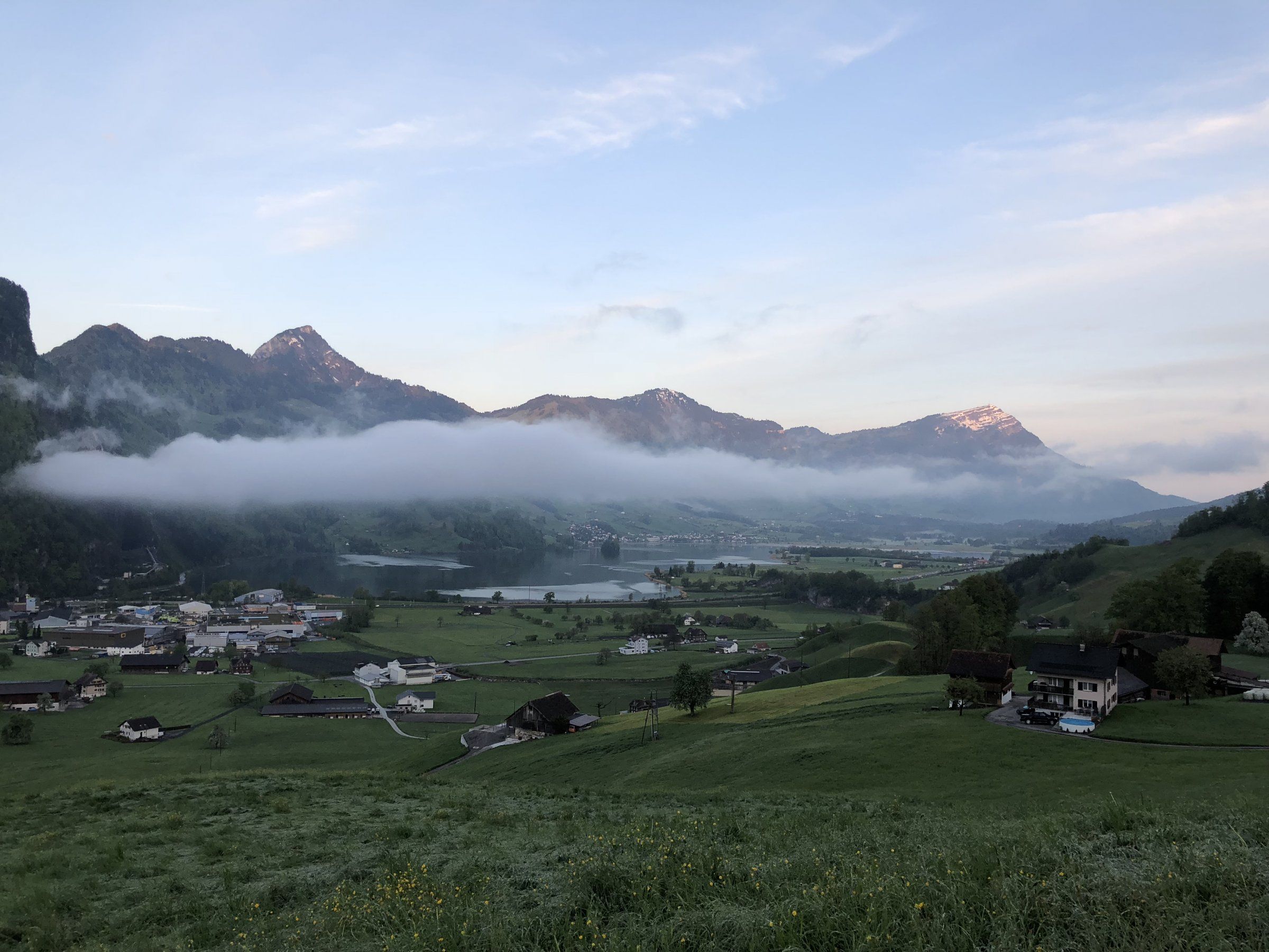52D6B904-0071-42F4-930B-FEBE8CB792C1.jpeg