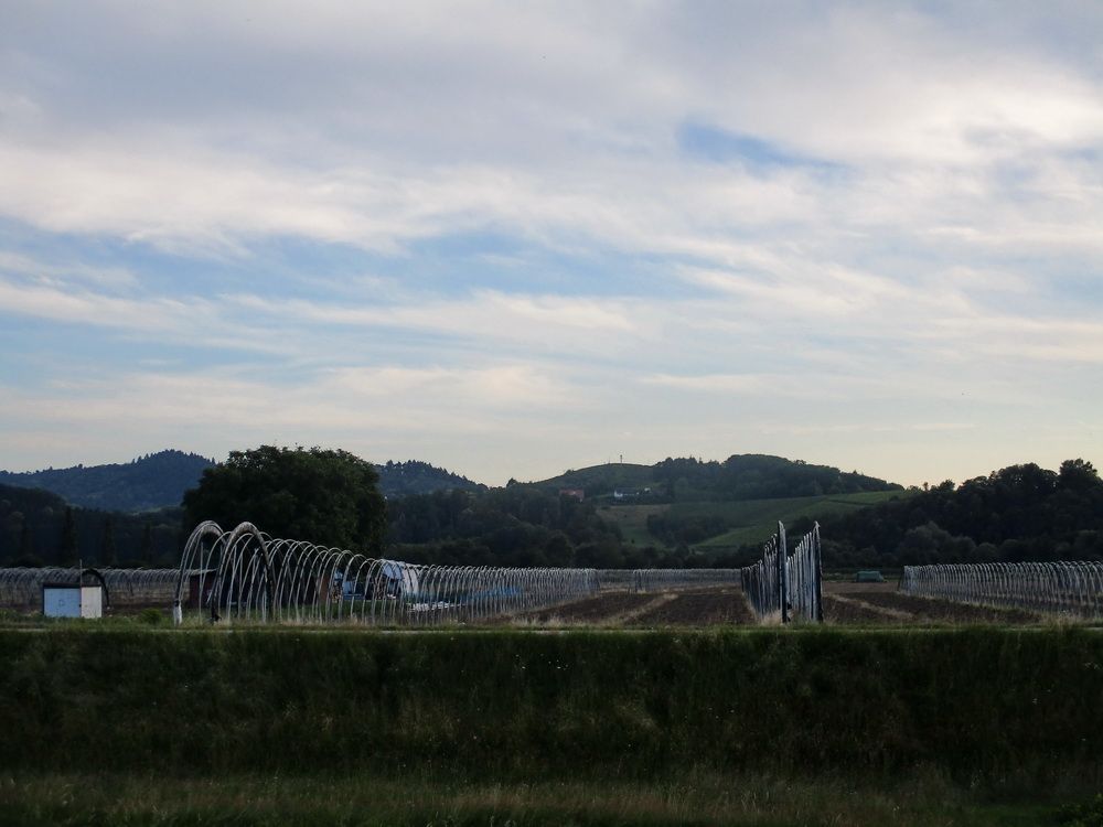 55.JPG