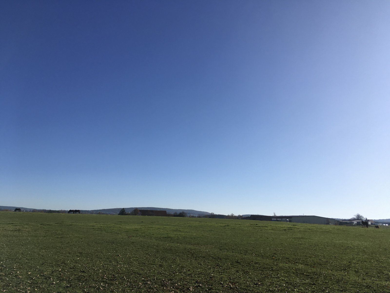 58E410E7-22DF-4E41-9C08-12054D7CA1F5.jpeg