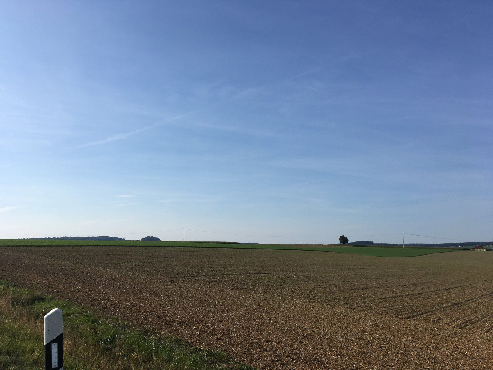 5A66463D-96A1-4B9E-AF94-D60B14B5692E.jpeg