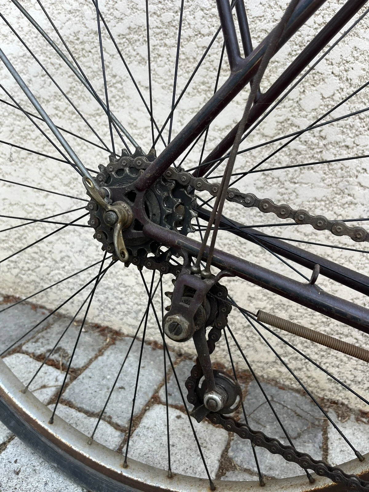 650b Randonneur.webp1.webp