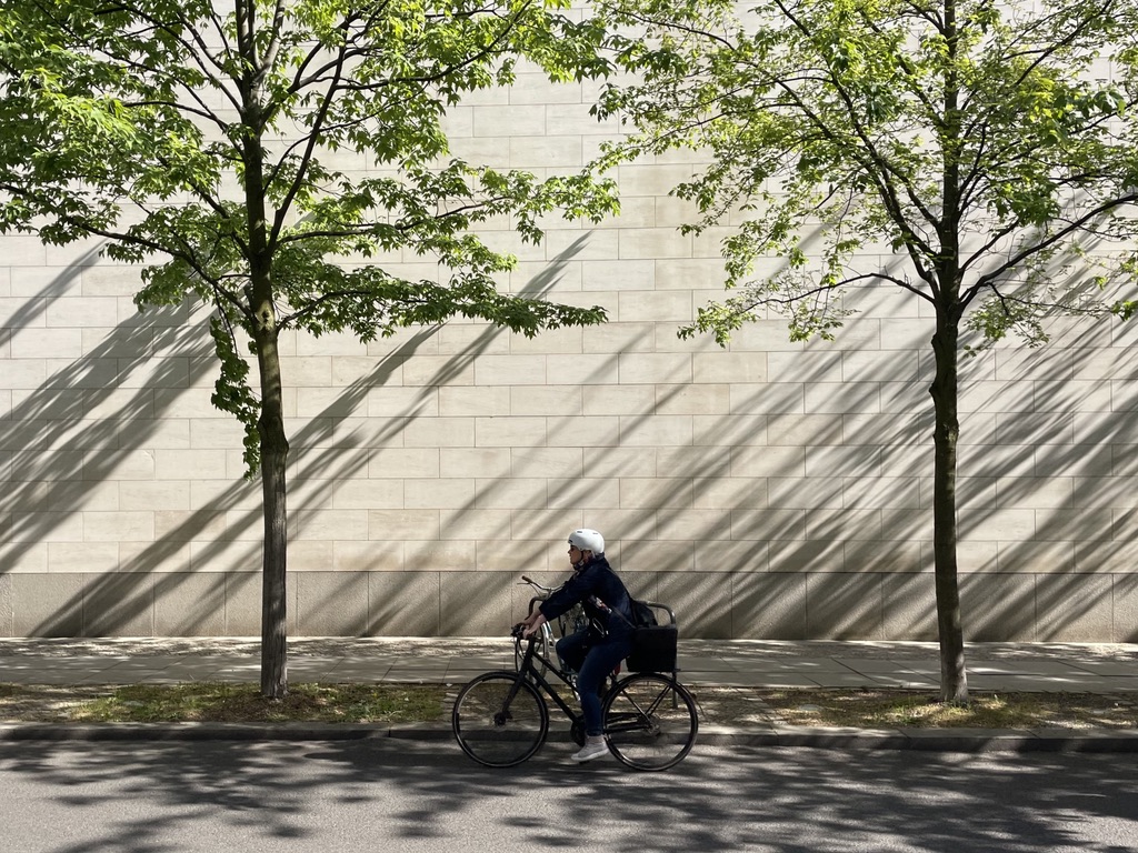 658708DA-0A69-4FE1-A50D-B277733575E7_1_105_c.jpeg