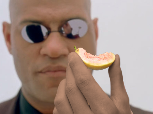67859.png