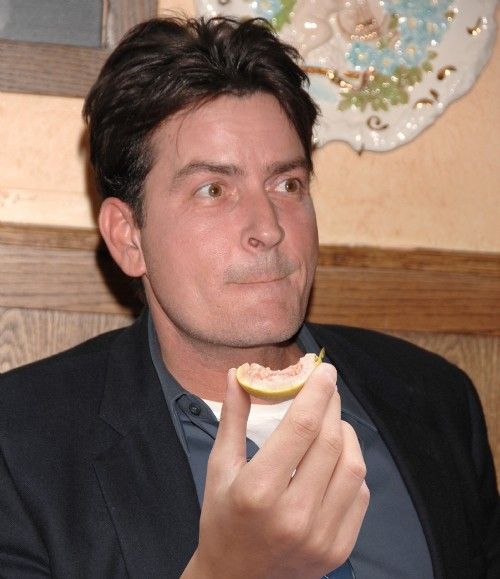 67870.jpg